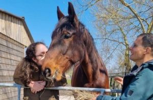 Foto Nabeij paard